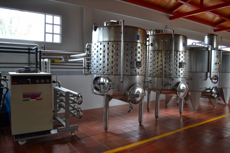 cave-STE MAXIME-min_wine_production_cantine_winery_drink_alcohol_vine_beverage-902036